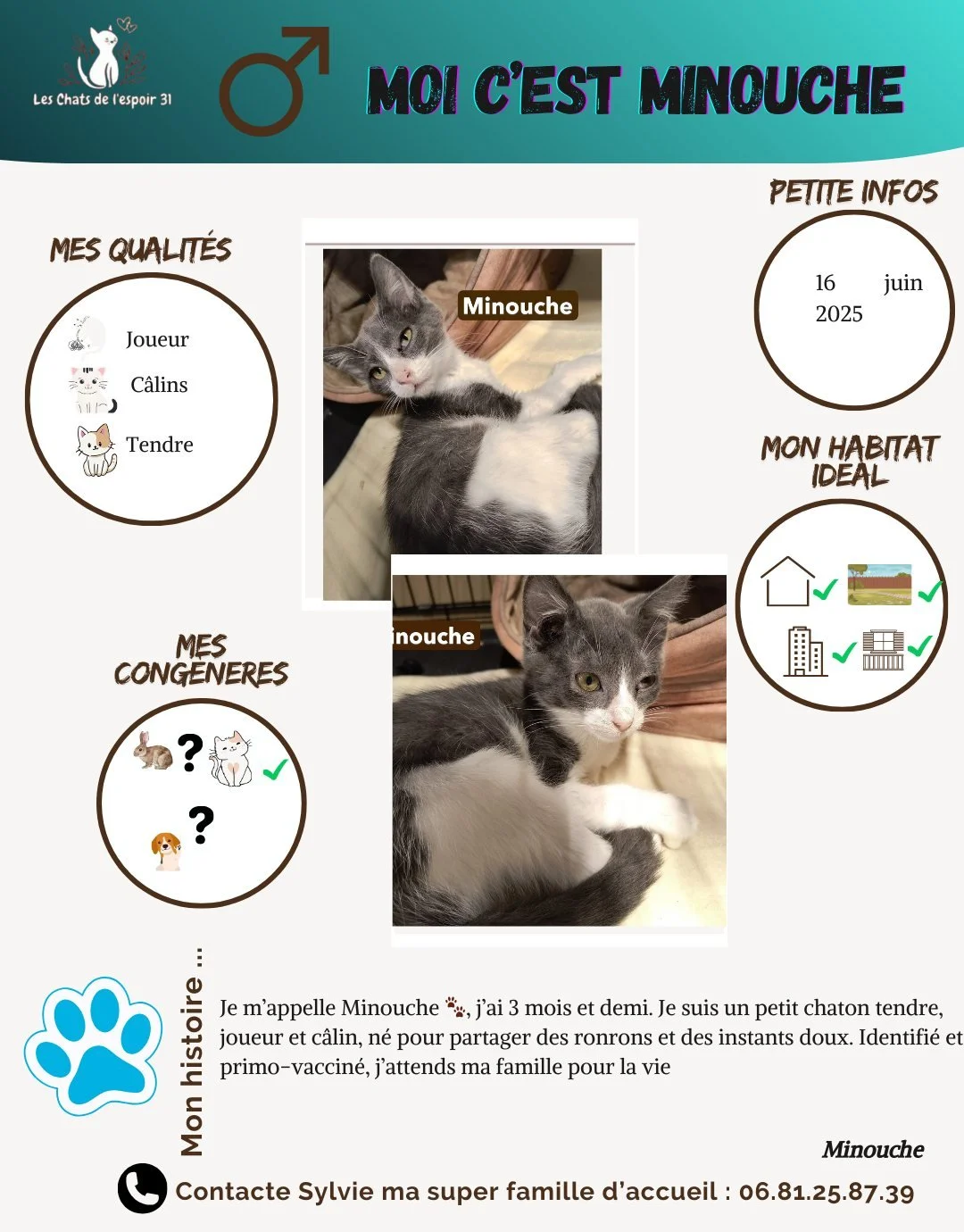 Coucou, moi c&rsquo;est Minouche 😺 !
J&rsquo;ai 3 mois et demi et je suis un petit chaton plein de tendresse. Je passe mes journ&eacute;es &agrave; jouer, explorer, courir partout, puis &agrave; chercher les c&acirc;lins et les bras pour ronronner.
