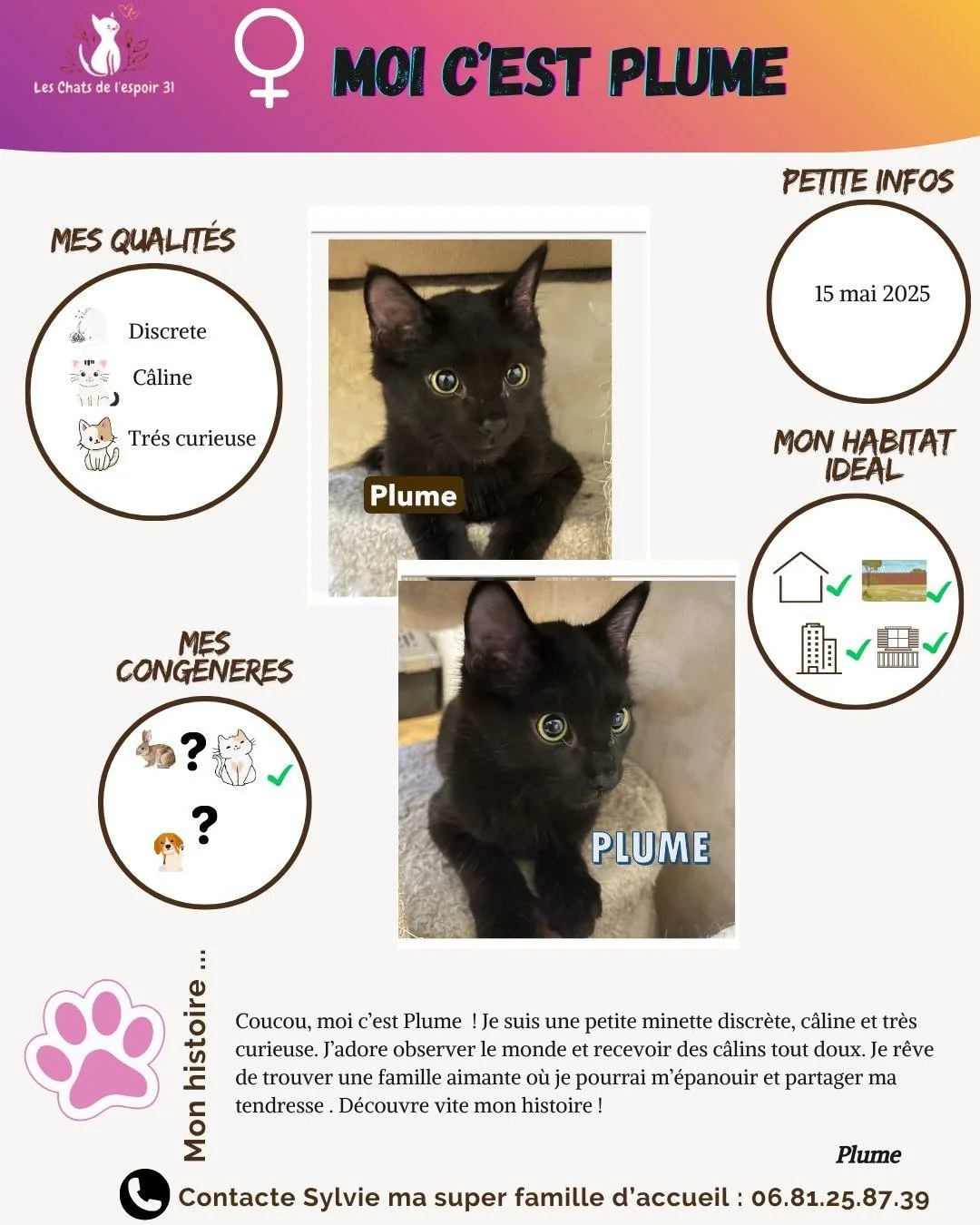 Coucou 🐾 Je m&rsquo;appelle Plume, je suis n&eacute;e le 15 mai 2025 et j&rsquo;ai aujourd&rsquo;hui 4 mois 💖. Je suis une chatonne au c&oelig;ur tendre : gentille, discr&egrave;te, c&acirc;line et tr&egrave;s curieuse. J&rsquo;adore explorer mon p