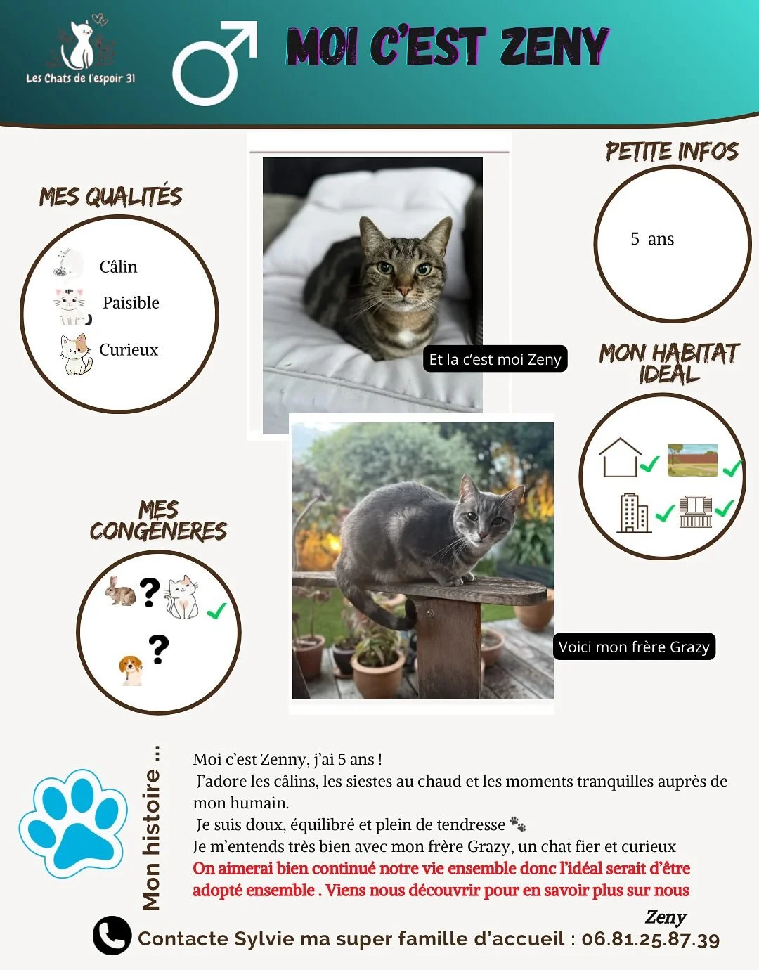 Coucou 😻 nous, c&rsquo;est Zenny et Grazy, deux fr&egrave;res ins&eacute;parables de 5 ans 💕
On a toujours tout fait ensemble : les siestes au soleil, les jeux, les c&acirc;lins et les moments paisibles aupr&egrave;s de notre humain 🌞

Moi, Zenny,