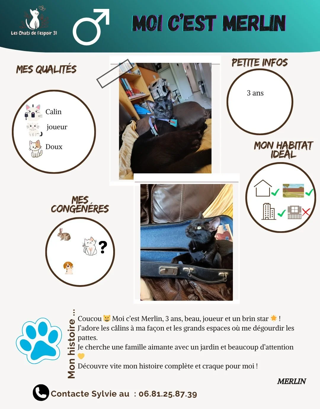 Coucou 🐾 Moi c&rsquo;est Merlin ! Je suis un &eacute;l&eacute;gant matou de 3 ans, joueur, curieux et plein de prestance 😺 J&rsquo;adore qu&rsquo;on s&rsquo;occupe de moi et j&rsquo;aime montrer mon amour &agrave; ma fa&ccedil;on, en me couchant pr