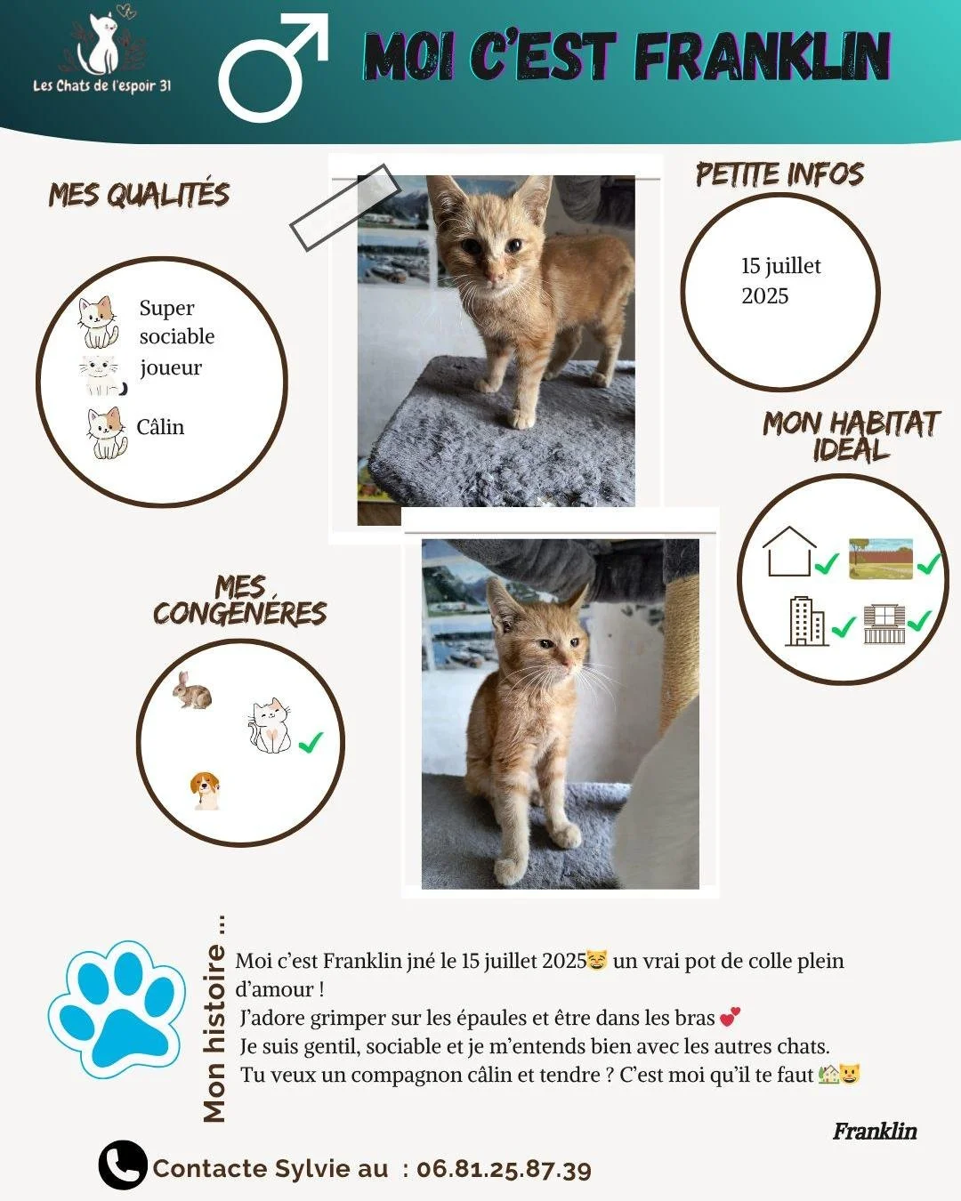 Coucou 😸 Moi c&rsquo;est Franklin, un petit chat n&eacute; le 15 juillet 2025 🐾
Je suis un vrai pot de colle 💕 : j&rsquo;adore grimper sur les &eacute;paules, &ecirc;tre dans les bras et coller mes moustaches contre ton visage 😻
Je suis gentil, s