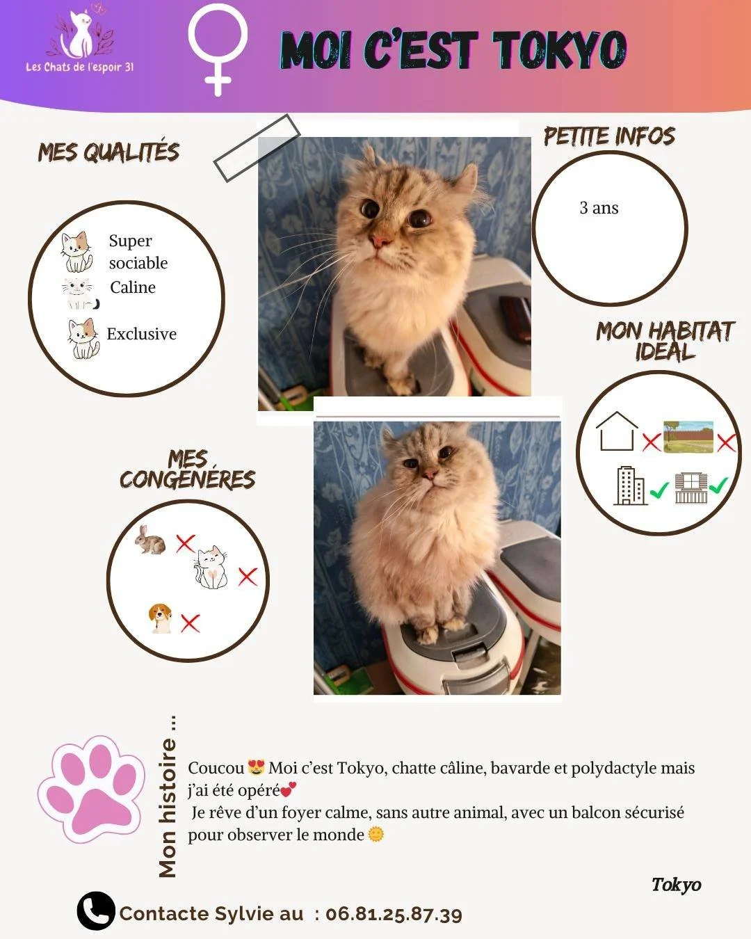 Coucou 😺 Moi c&rsquo;est Tokyo, une chatte au grand c&oelig;ur et au pelage long tout doux 💕
J&rsquo;adore &ecirc;tre c&acirc;lin&eacute;e, discuter avec mes humains et dormir tout contre eux 🥰
Je suis une minette calme, affectueuse et un peu excl