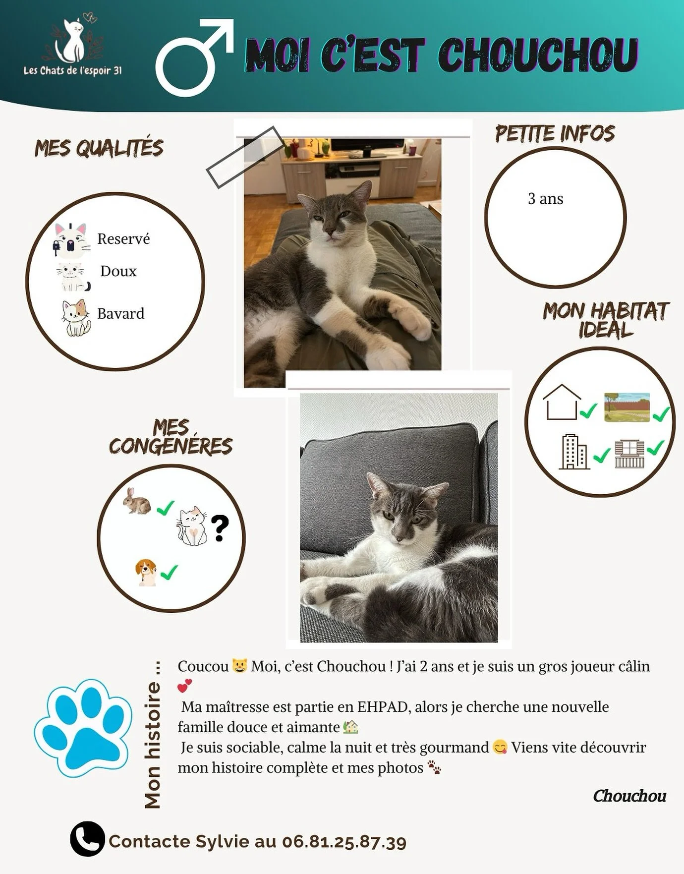 Coucou 🐾 Moi, c&rsquo;est Chouchou ! J&rsquo;ai 2 ans, et je suis un grand joueur plein d&rsquo;amour 💕
Ma ma&icirc;tresse est partie en EHPAD, alors je cherche &agrave; mon tour un foyer o&ugrave; je pourrai ronronner de bonheur 🏡
Je suis gourman