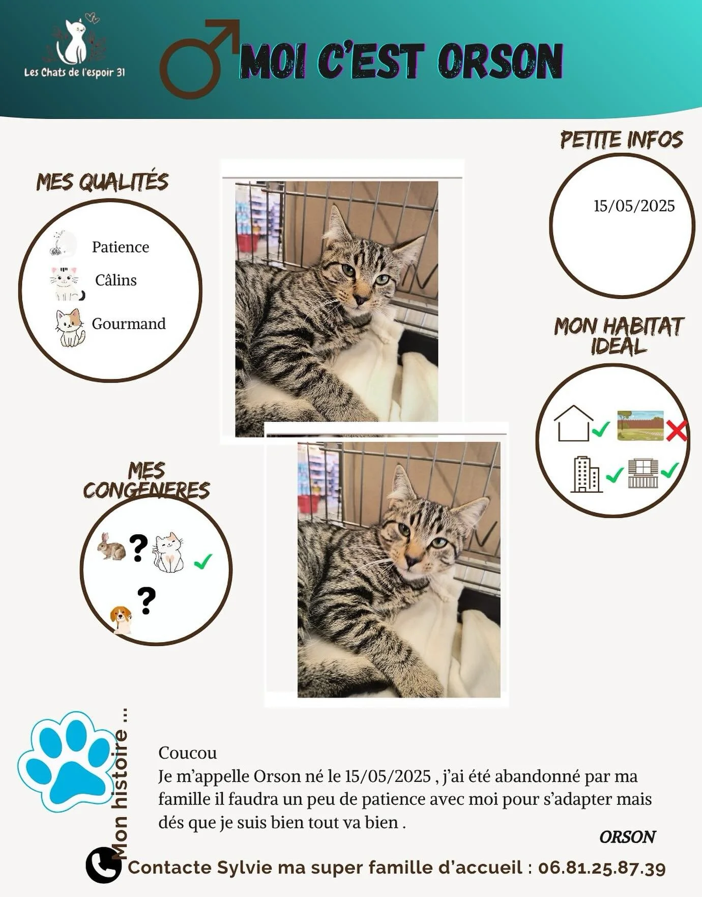 Coucou 😺 Moi c&rsquo;est Orson !
J&rsquo;ai &eacute;t&eacute; abandonn&eacute; par ma famille, mais gr&acirc;ce &agrave; l&rsquo;association Les Chats de l&rsquo;Espoir du 31, j&rsquo;ai retrouv&eacute; confiance 💙
Je suis patient, c&acirc;lin et g