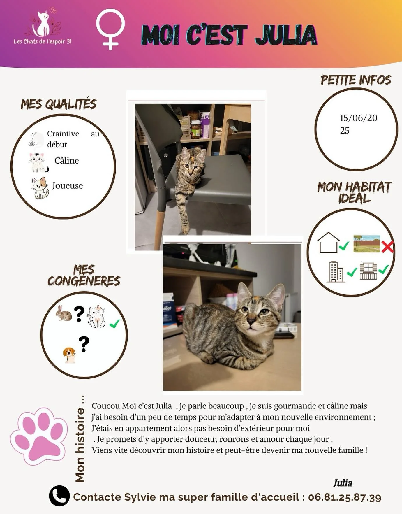Coucou 💕 Moi c&rsquo;est Julia !
Je suis une petite bavarde tr&egrave;s c&acirc;line et joueuse 🎀
Au d&eacute;but, j&rsquo;ai besoin d&rsquo;un peu de temps pour faire confiance, mais apr&egrave;s&hellip; je deviens une vraie boule de tendresse !
J