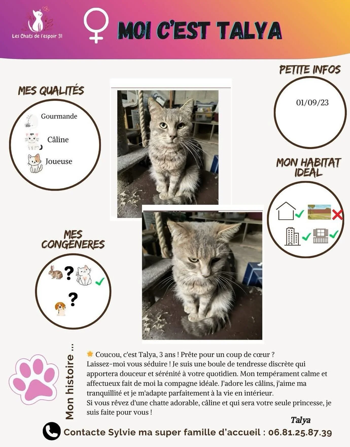 Moi c&rsquo;est Talya, j&rsquo;ai 3 ans et je suis &agrave; l&rsquo;adoption !
✨ Mon caract&egrave;re :
Adorable et c&acirc;line
Discr&egrave;te et tranquille
J&rsquo;aime ma tranquillit&eacute;
Si il n&rsquo;y a pas d&rsquo;autres chats &ccedil;a me