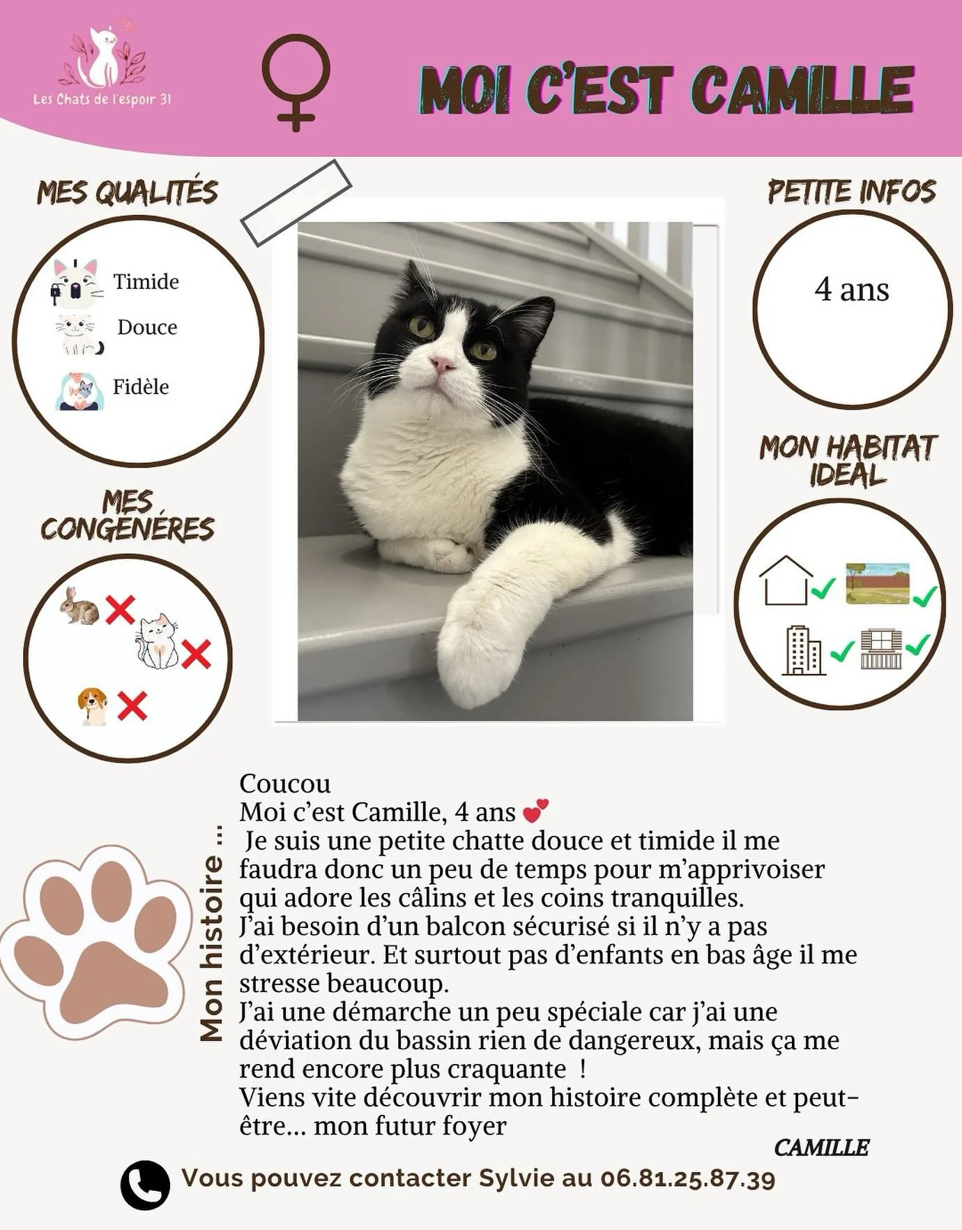 💔➡️💕 L&rsquo;histoire de Camille vous touchera en plein c&oelig;ur
Il y a quelques mois, nous recevons un appel : une personne est d&eacute;c&eacute;d&eacute;e chez elle. En arrivant sur place, nous d&eacute;couvrons Camille, cach&eacute;e sous un 