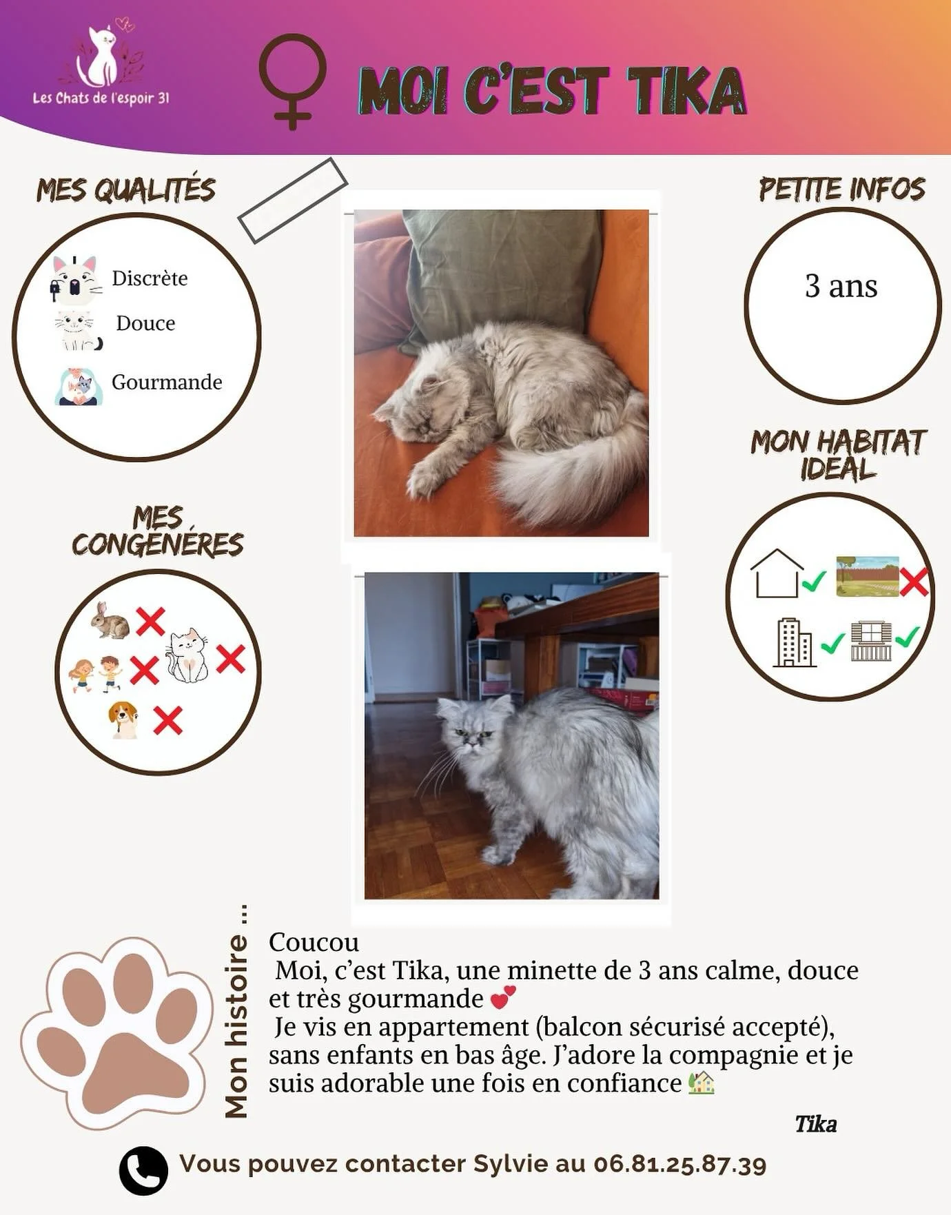 Coucou 🐾 Moi, c&rsquo;est Tika, n&eacute;e en mai 2022 💕
Je suis tr&egrave;s calme, douce et gourmande, une vraie princesse d&rsquo;appartement 👑
Je m&rsquo;entends bien avec les autres chats et je pr&eacute;f&egrave;re vivre sans enfants en bas &
