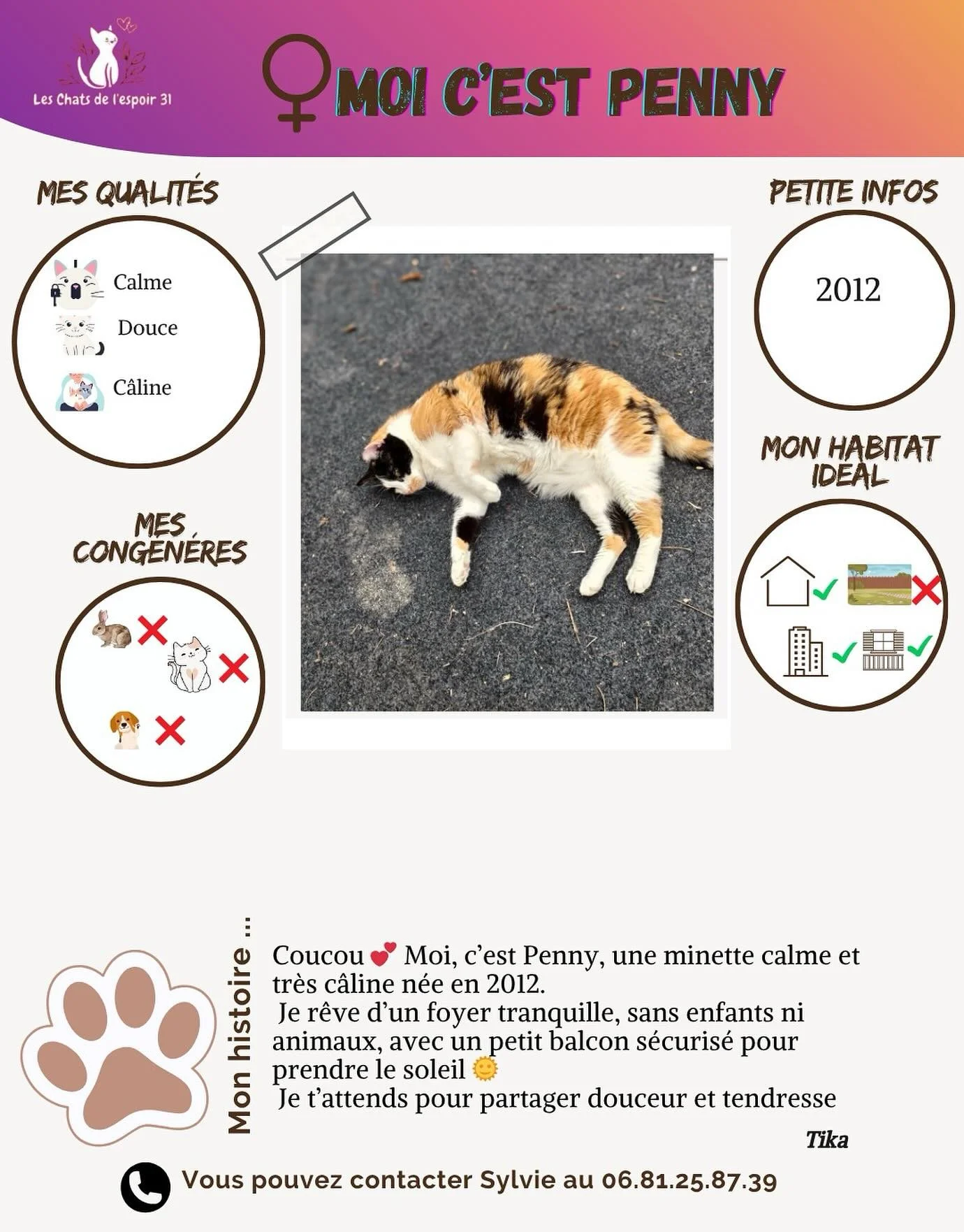Coucou 🐾 Moi, c&rsquo;est Penny, une jolie chatte n&eacute;e le 10 mai 2012 💕
Je suis une grande c&acirc;line, douce et tranquille. J&rsquo;adore la compagnie humaine, mais je recherche une vie paisible sans enfants ni autres animaux.
Un appartemen