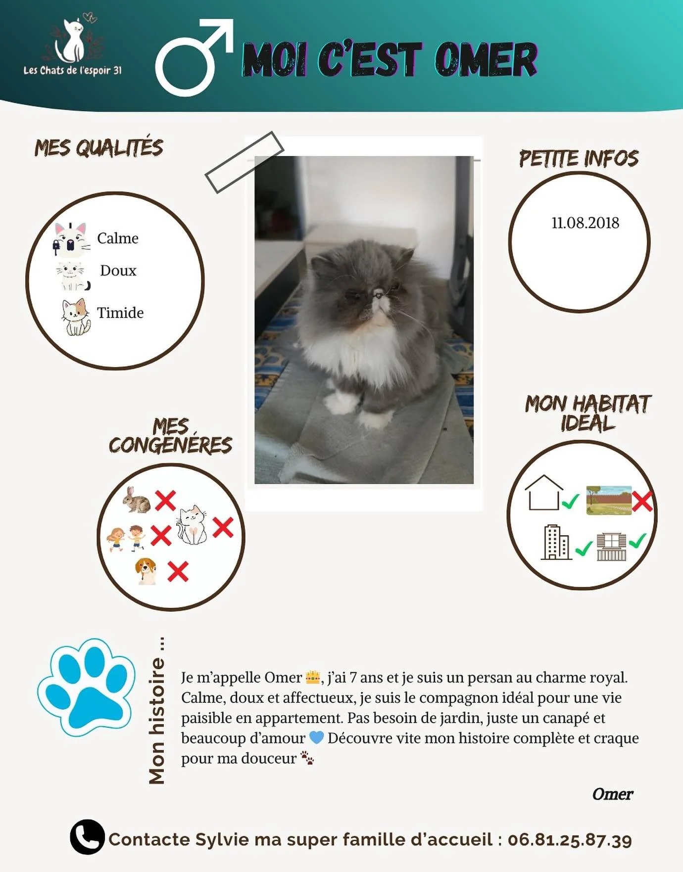 Coucou 👑 Moi, c&rsquo;est Omer, un persan de 7 ans plein de douceur et d&rsquo;&eacute;l&eacute;gance.
Je suis un vrai chat d&rsquo;int&eacute;rieur : calme, c&acirc;lin et toujours pr&ecirc;t pour une sieste sur le canap&eacute; 💤
J&rsquo;aime la 