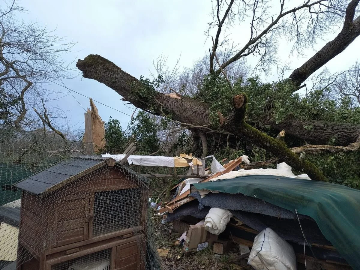 🚨 APPEL &Agrave; LA SOLIDARIT&Eacute; &ndash; URGENCE APR&Egrave;S LA TEMP&Ecirc;TE NILS 🚨

Une de nos familles d&rsquo;accueil, b&eacute;n&eacute;vole pr&egrave;s de Toulouse, a vu sa yourte, dans laquelle elle vit et accueil des chats de l&rsquo;