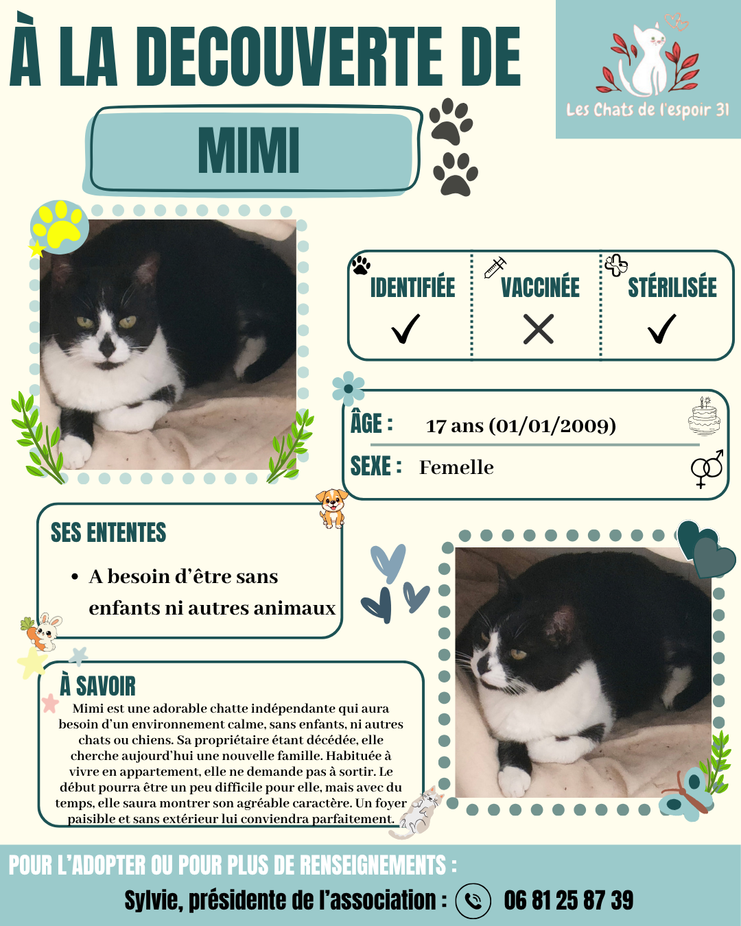 Mimi.png