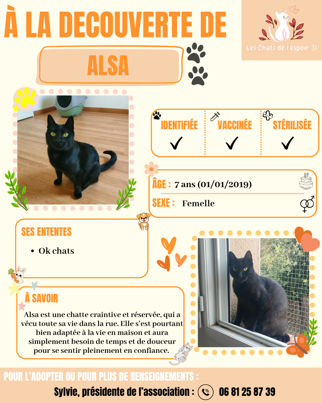 Alsa.png
