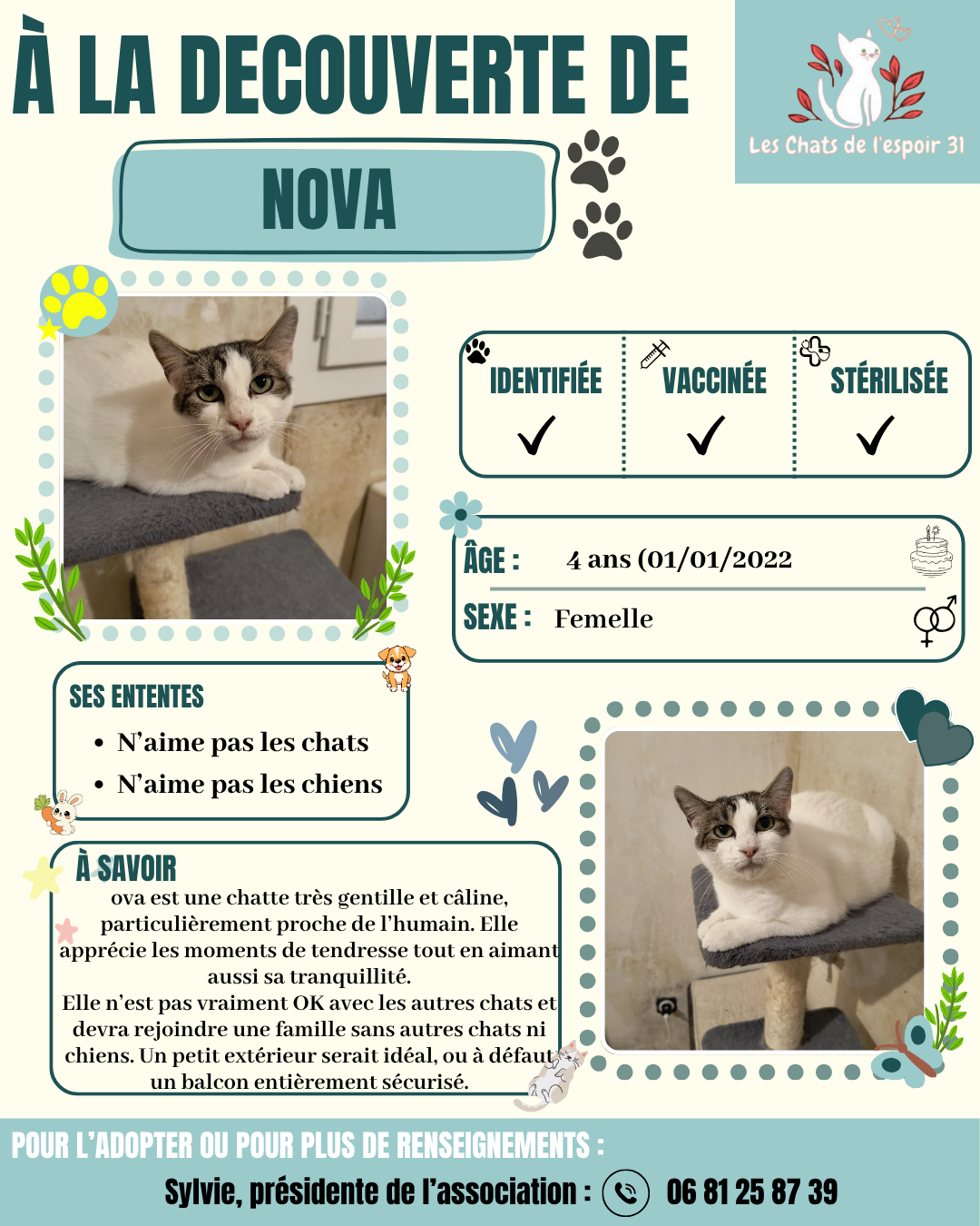 Nova.png