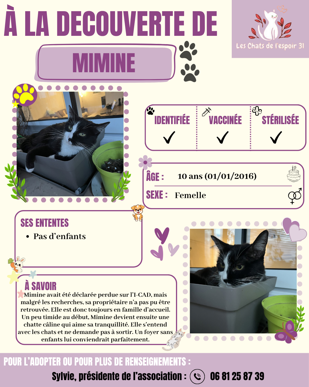 Mimine.png