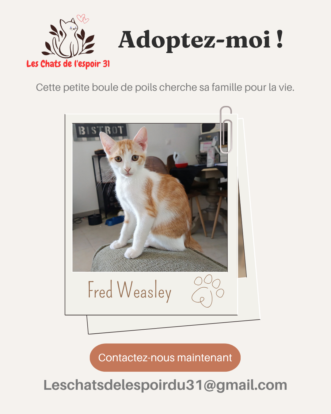 Fred Weasley.png