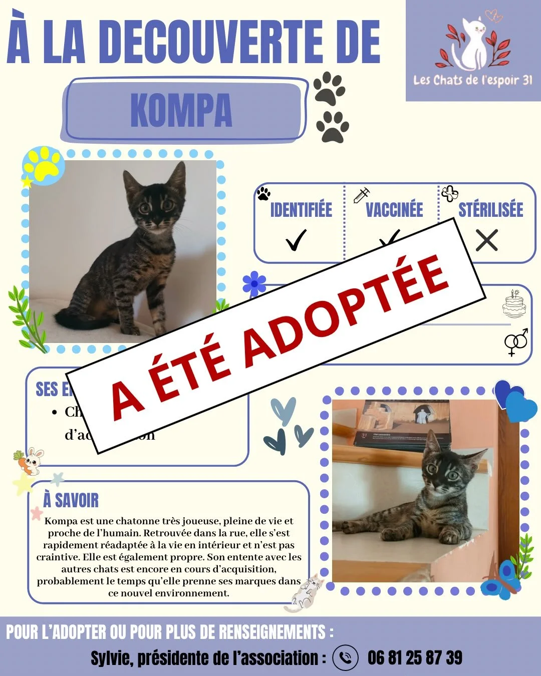 Flyer de adoption pour un chat nommé Kompa, avec photos de Kompa, détails sur sa personnalité, statut adopté, et coordonnées de l'association. Sur le flyer, il y a un badge avec "A ÉTÉ ADOPTÉE" en rouge.