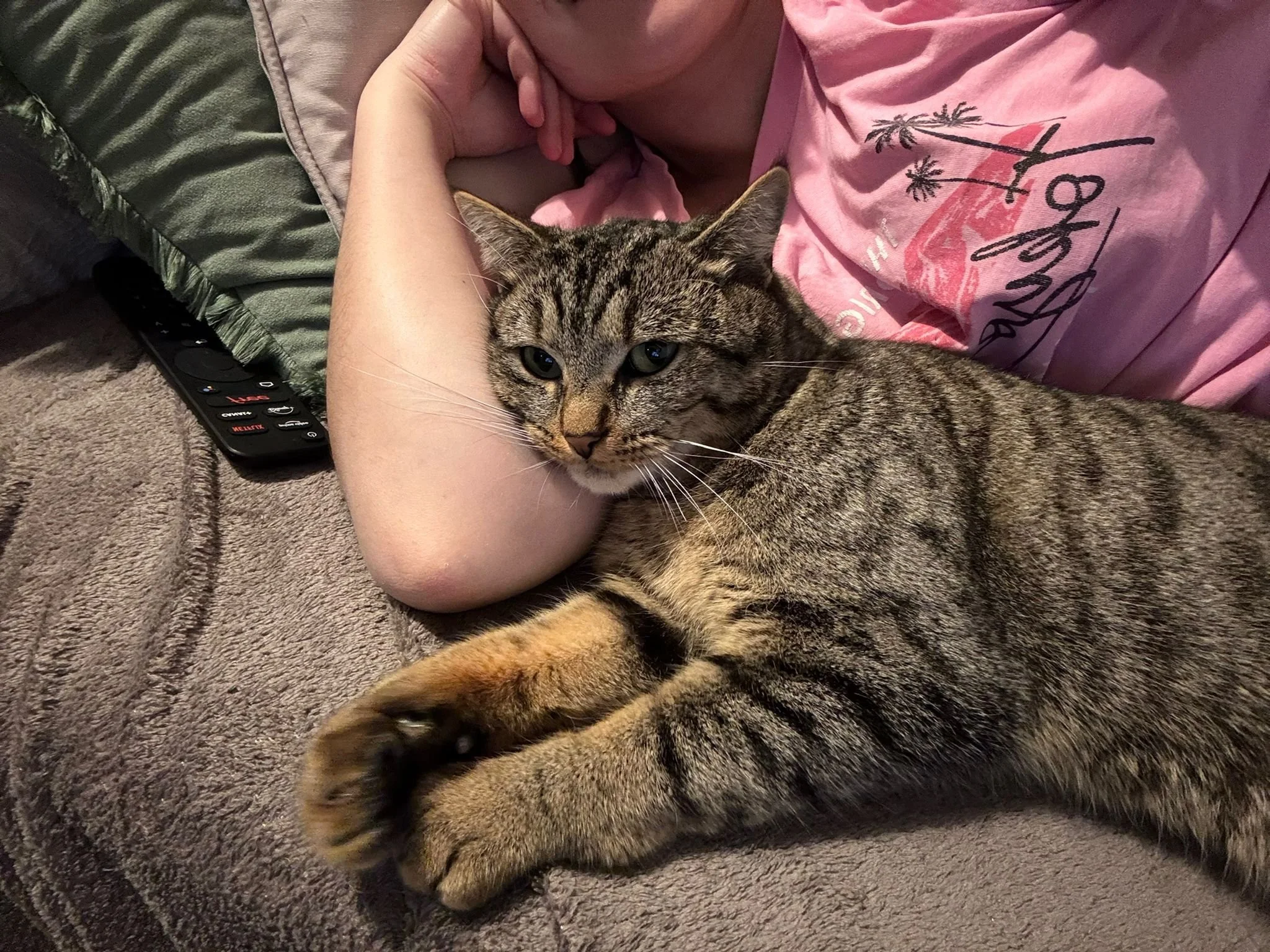 Une femme allongée sur un canapé avec un chat tigré allongé sur elle, paw noir, sur un coussin vert. La femme porte un T-shirt rose, et il y a une télécommande à côté d'elle.