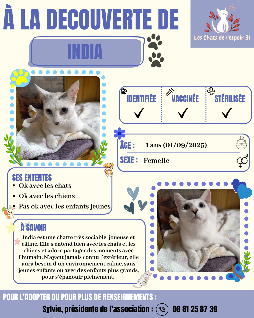 India.png