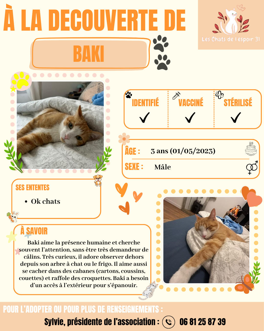 Baki.png