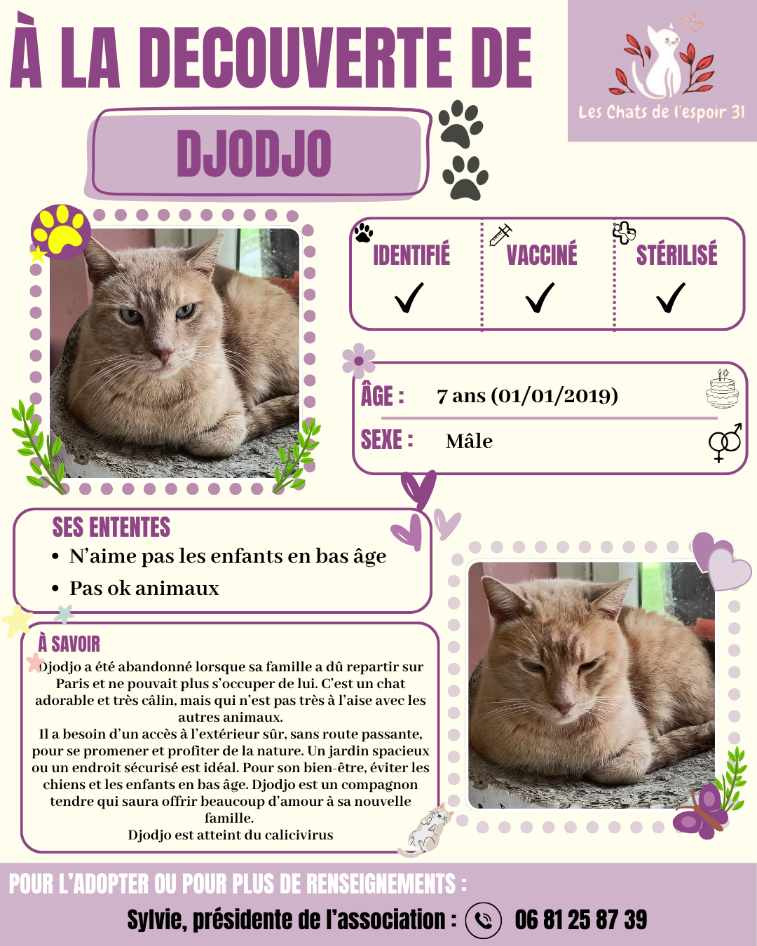 Djodjo.png
