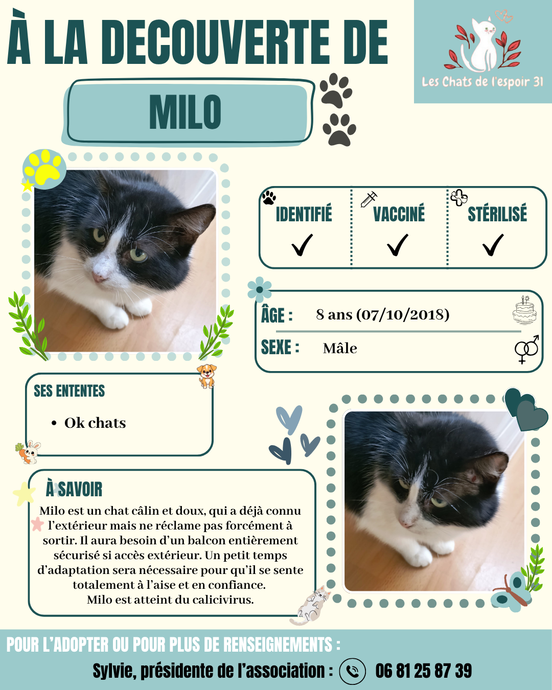 Milo.png