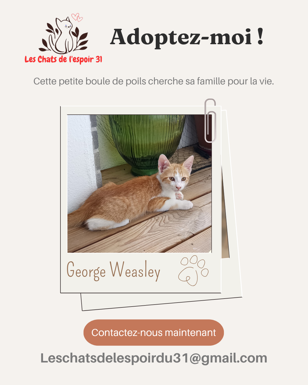 George Weasley.png