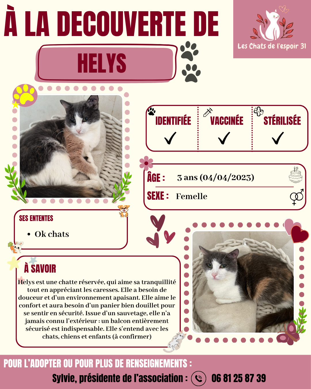Helys.png