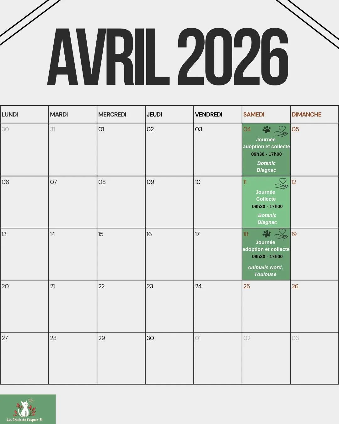 WhatsApp Image 2026-03-28 at 14.15.25 (1).jpeg