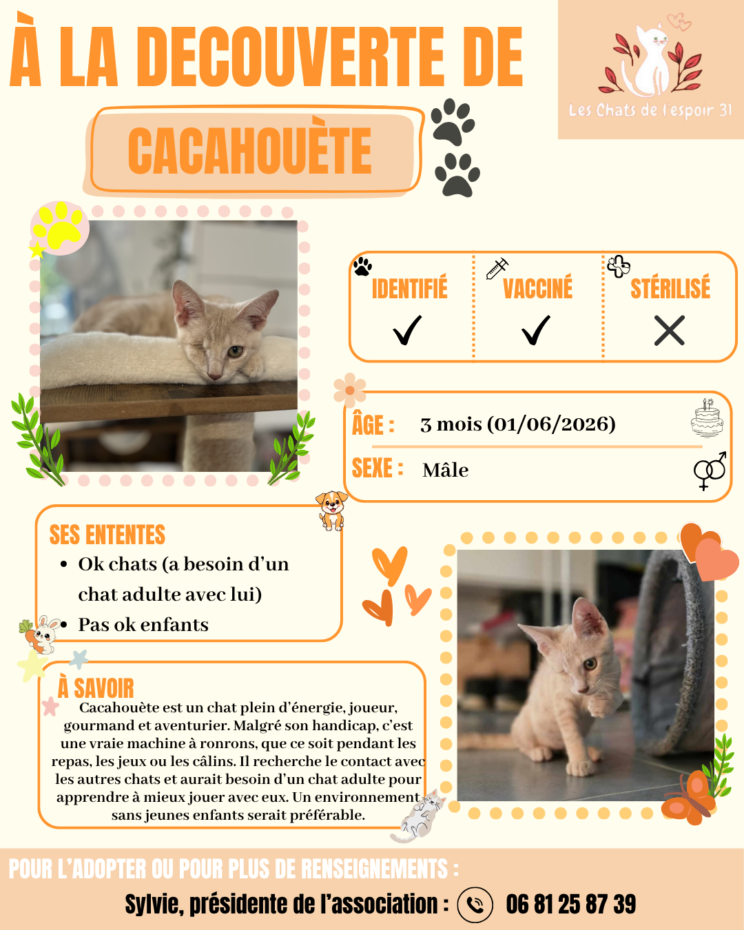 Cacahouète.png