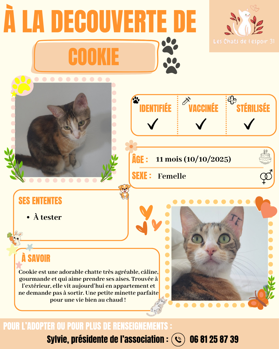 Cookie.png