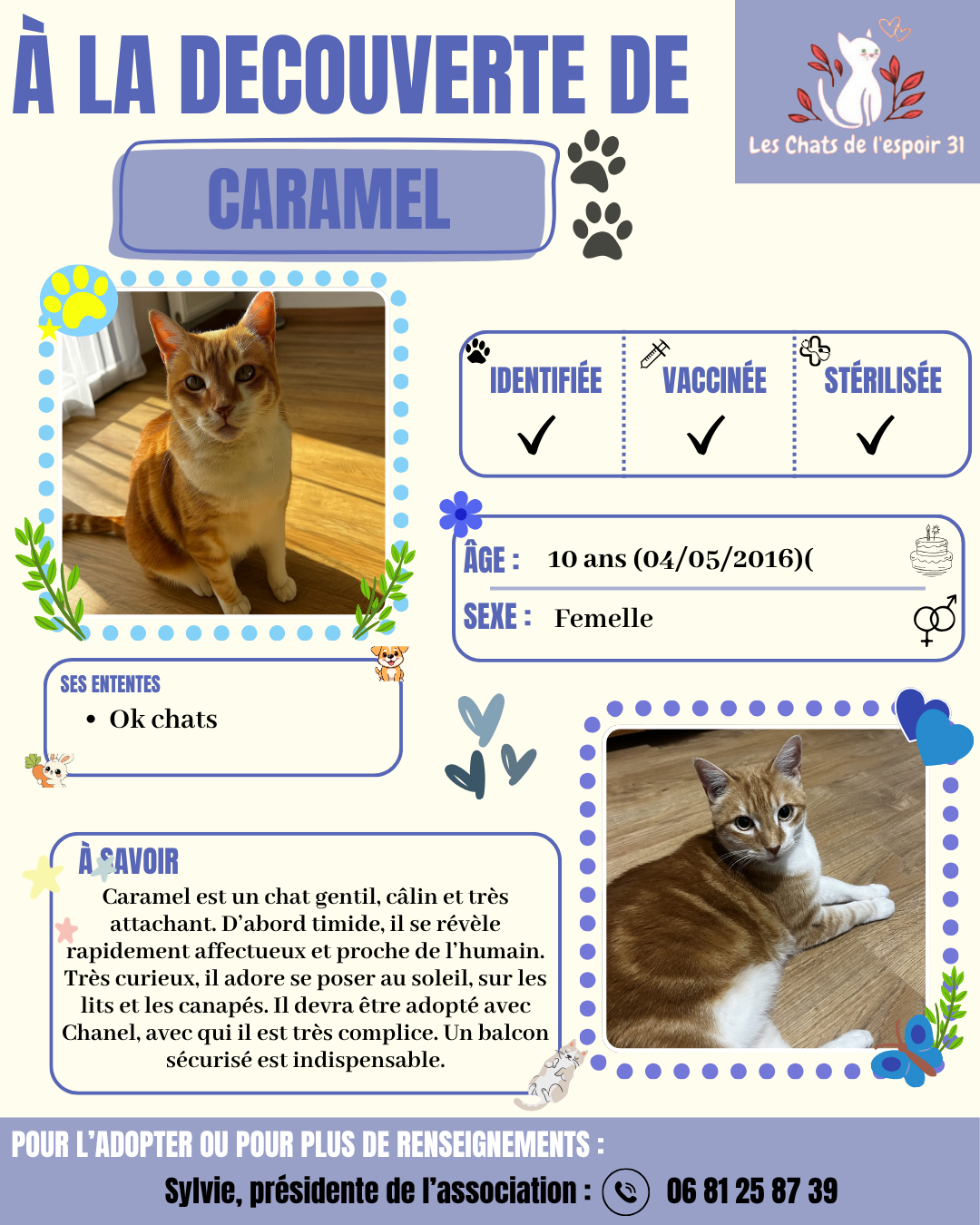 Caramel.png