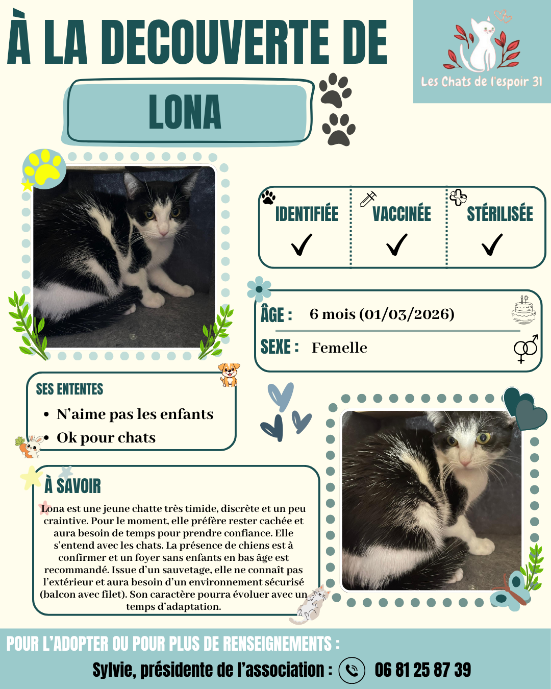 Lona.png
