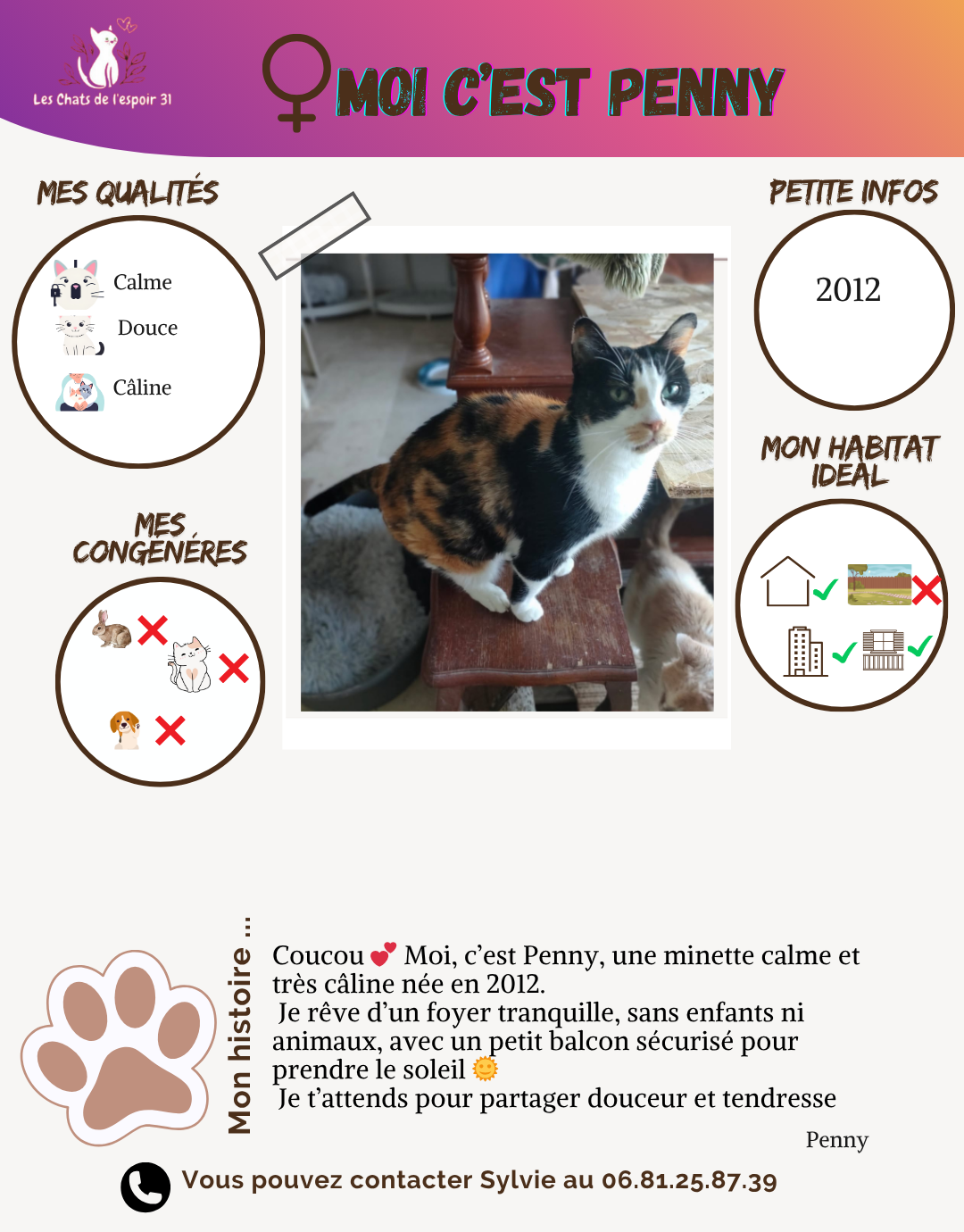Profil d'une chatte nommée Penny, avec une photo d'elle assise sur une marche en bois, coloration calico. Informations des qualités, de l'habitat idéal, des congénères et une petite biographie en français. Logo d'une associaton pour chats, coordonnées de contact.