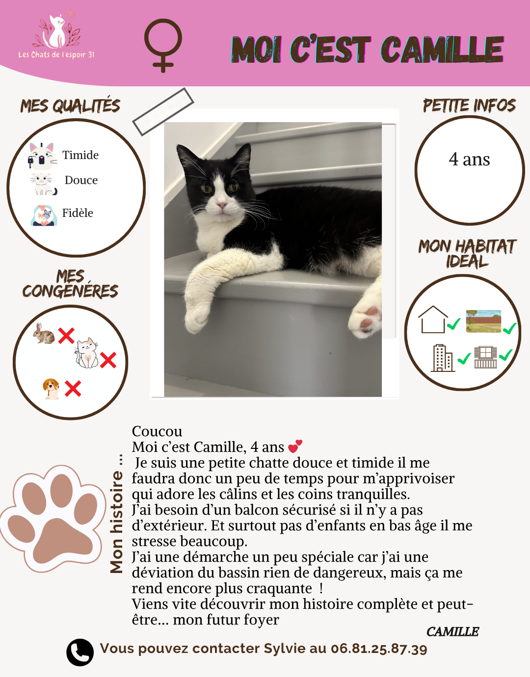 Une affiche présentant un chat nommé Camille, de 4 ans, avec une photo d'elle allongée. L'affiche indique qu'elle est timide, douce et fidèle. Elle préfère éviter les congénères comme le lapin, le chat ou le chien. Camille vit dans un environnement urbain ou semi-urbain et s'intéresse à une maison, un appartement ou un balcon sécurisé. La description mentionne ses traits de personnalité, ses préférences et ses besoins en sécurité et en tranquillité.
