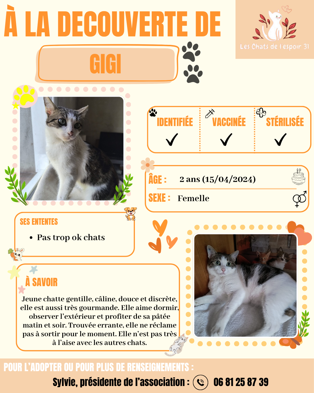 Gigi.png