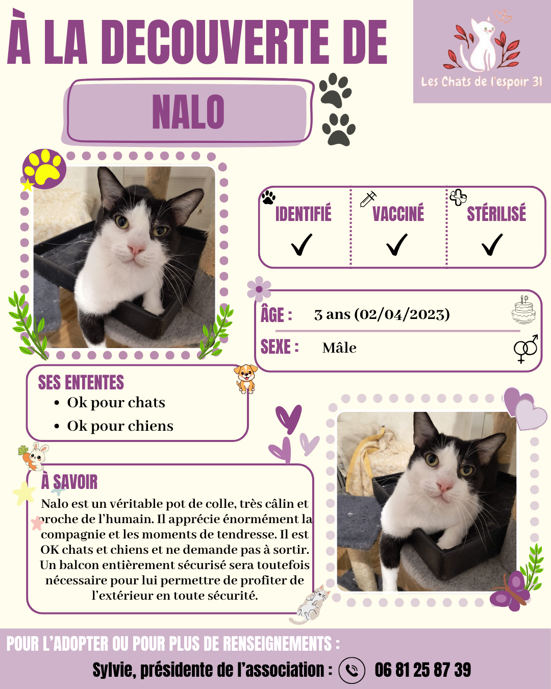 Nalo.png