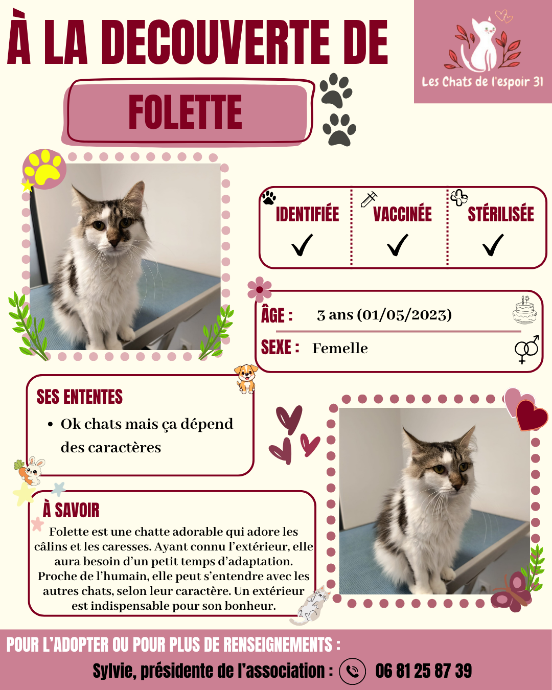 Folette.png