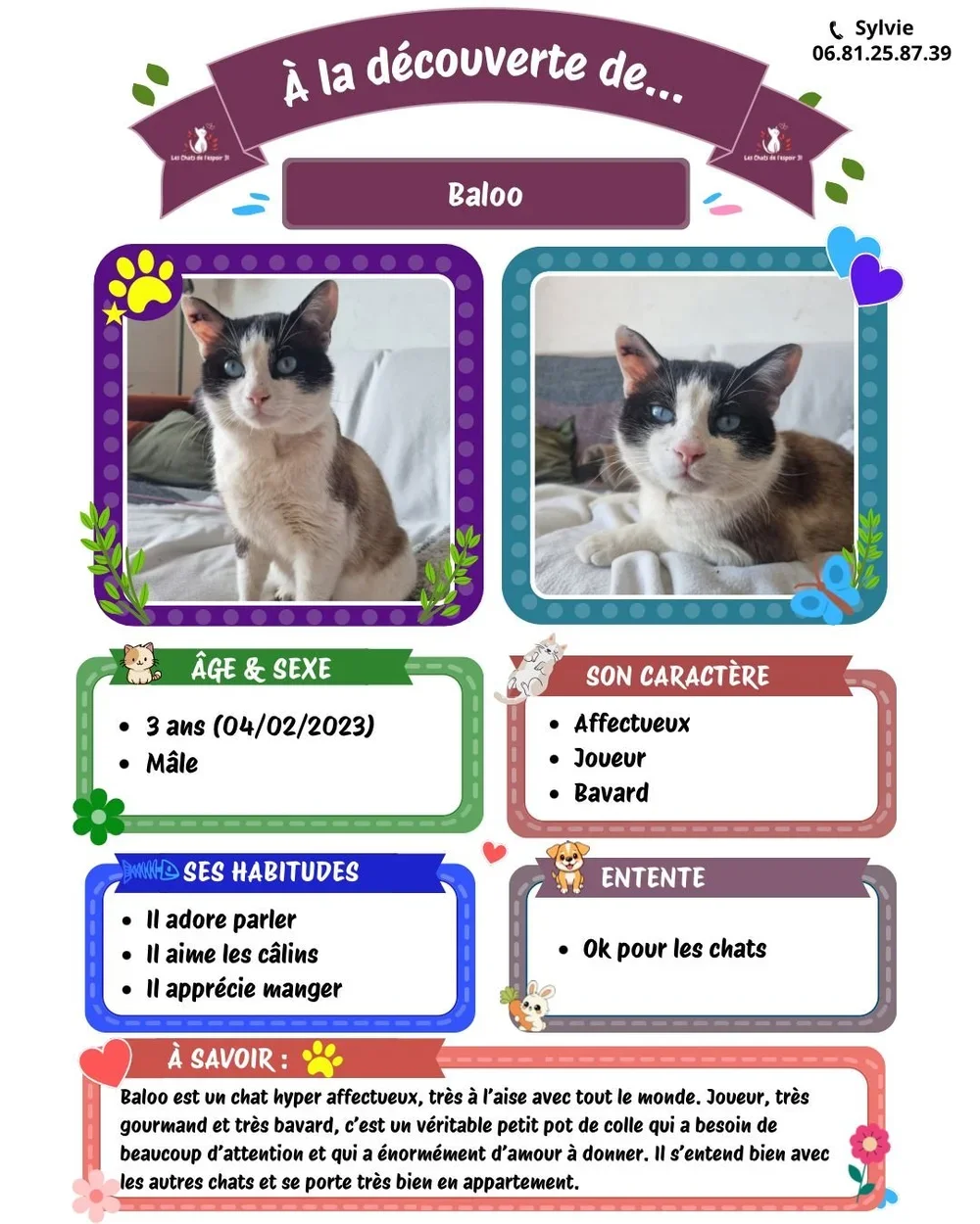 Baloo