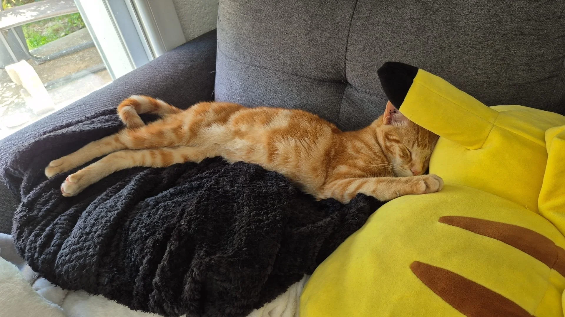 Un chat orange allongé sur un canapé, dormant avec un coussin en forme de banane.