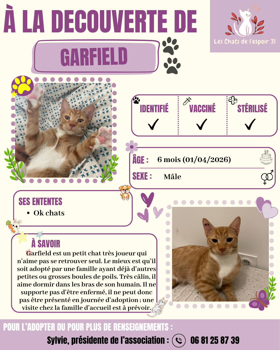 Garfield.png