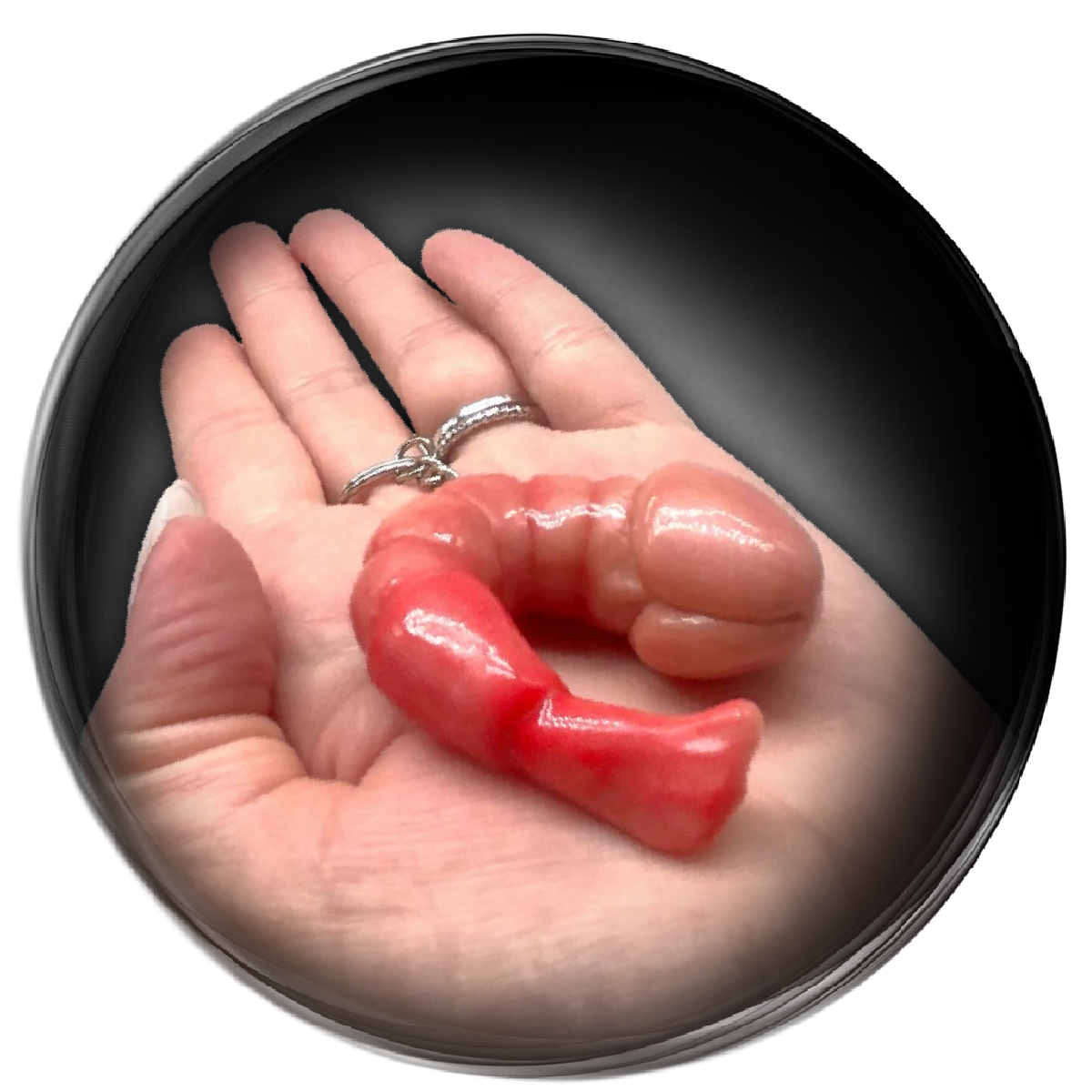 COCK-TAIL SHRIMP - Pocket Oddity Keychain