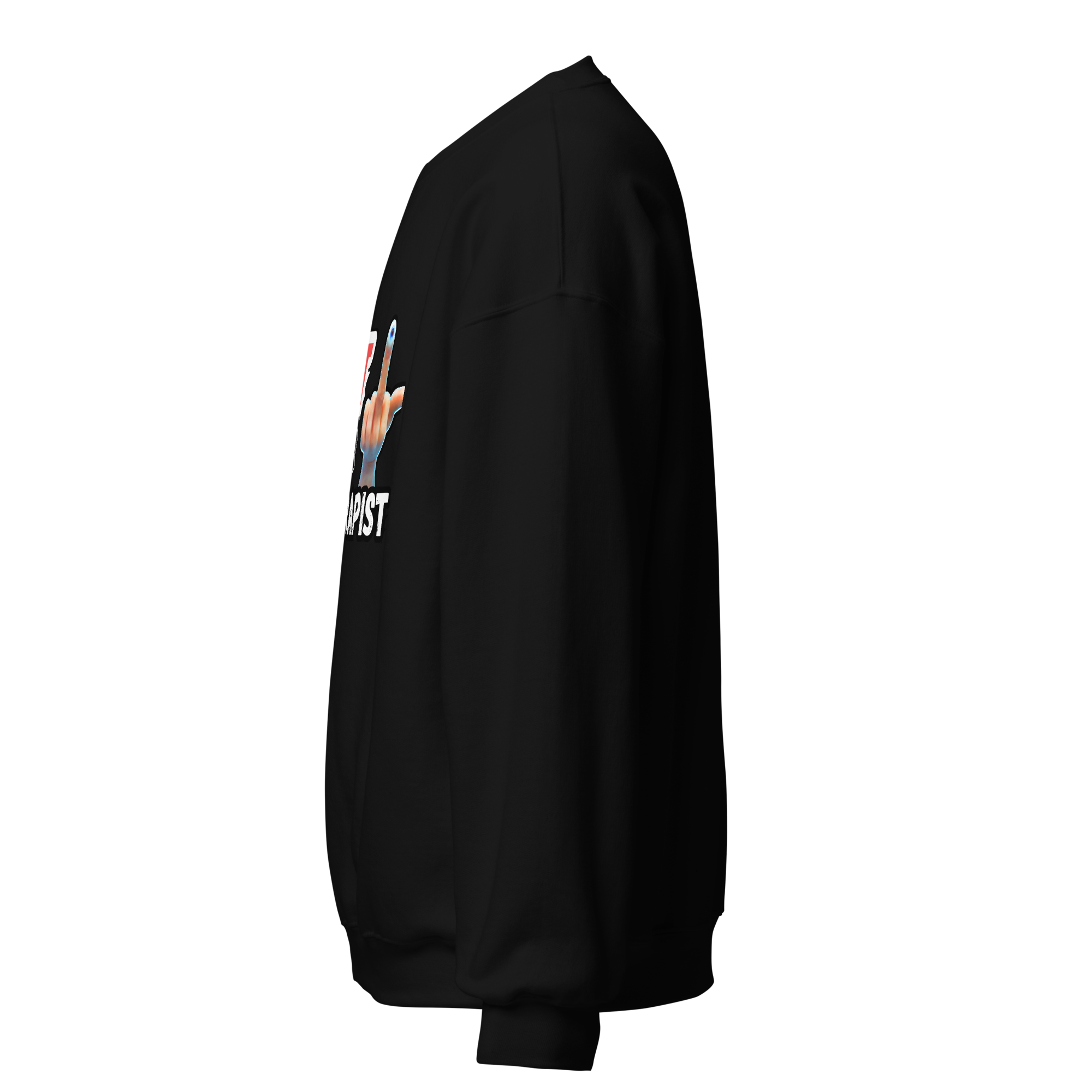 unisex-crew-neck-sweatshirt-black-left-68adb500ad1b1.png