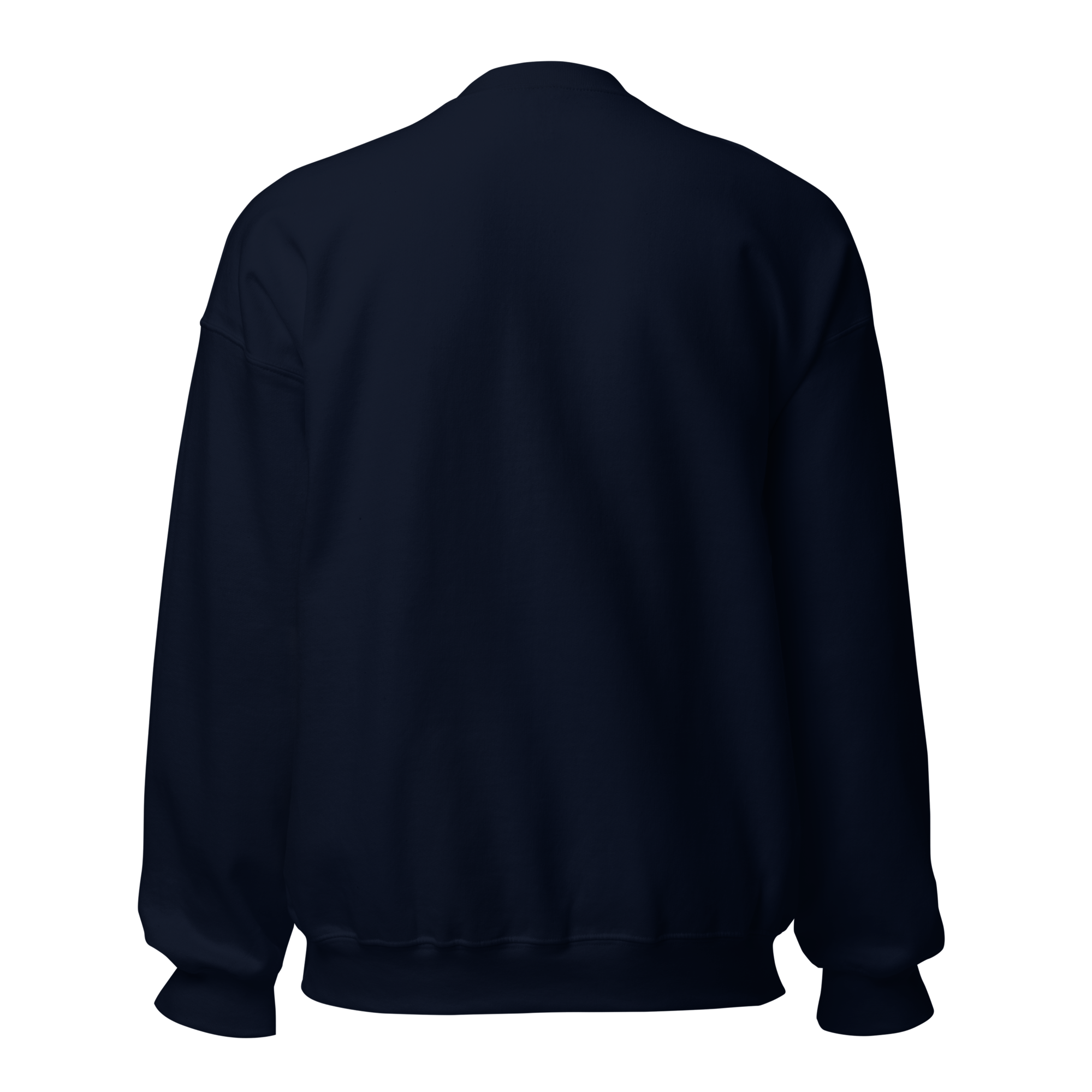 unisex-crew-neck-sweatshirt-navy-back-68adb500b0b9a.png