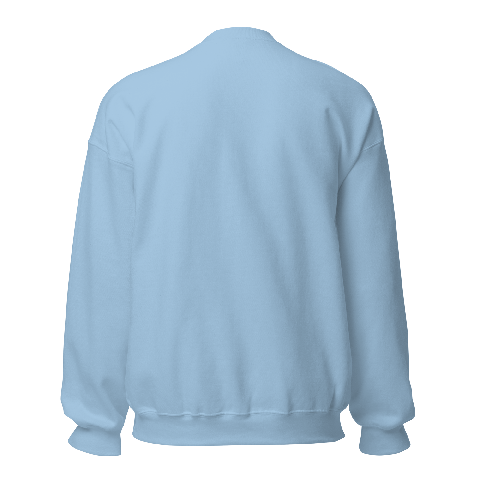 unisex-crew-neck-sweatshirt-light-blue-back-68adb501ac2ba.png