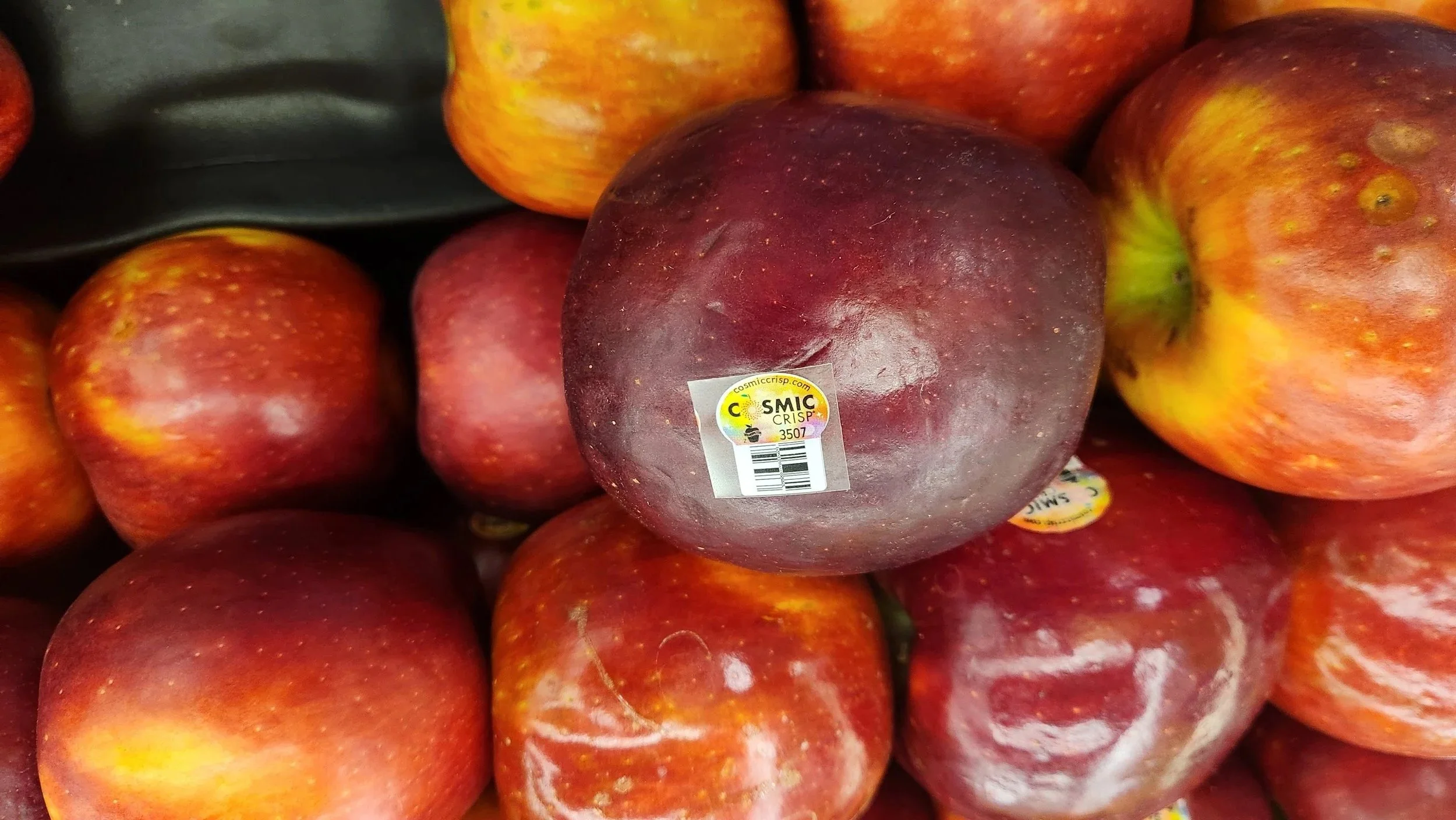 A pile of red and green apples with a sticker on one of the apples that reads 'Cosmic Crisp' and a barcode.