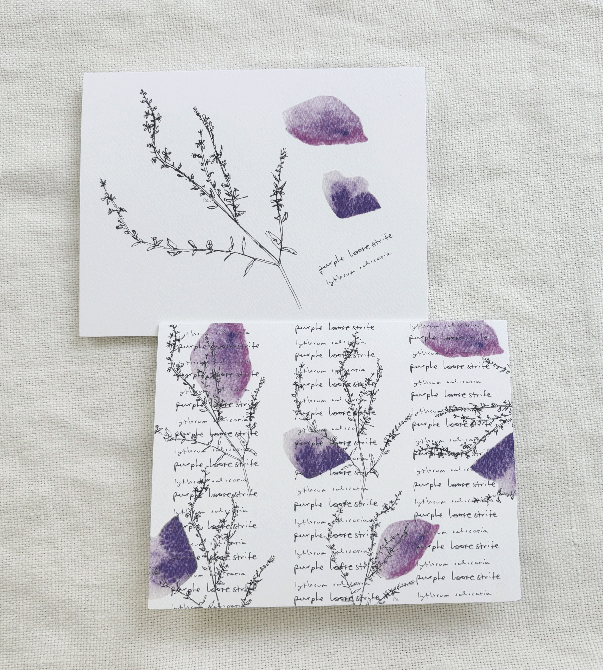 Field Notes B Pair