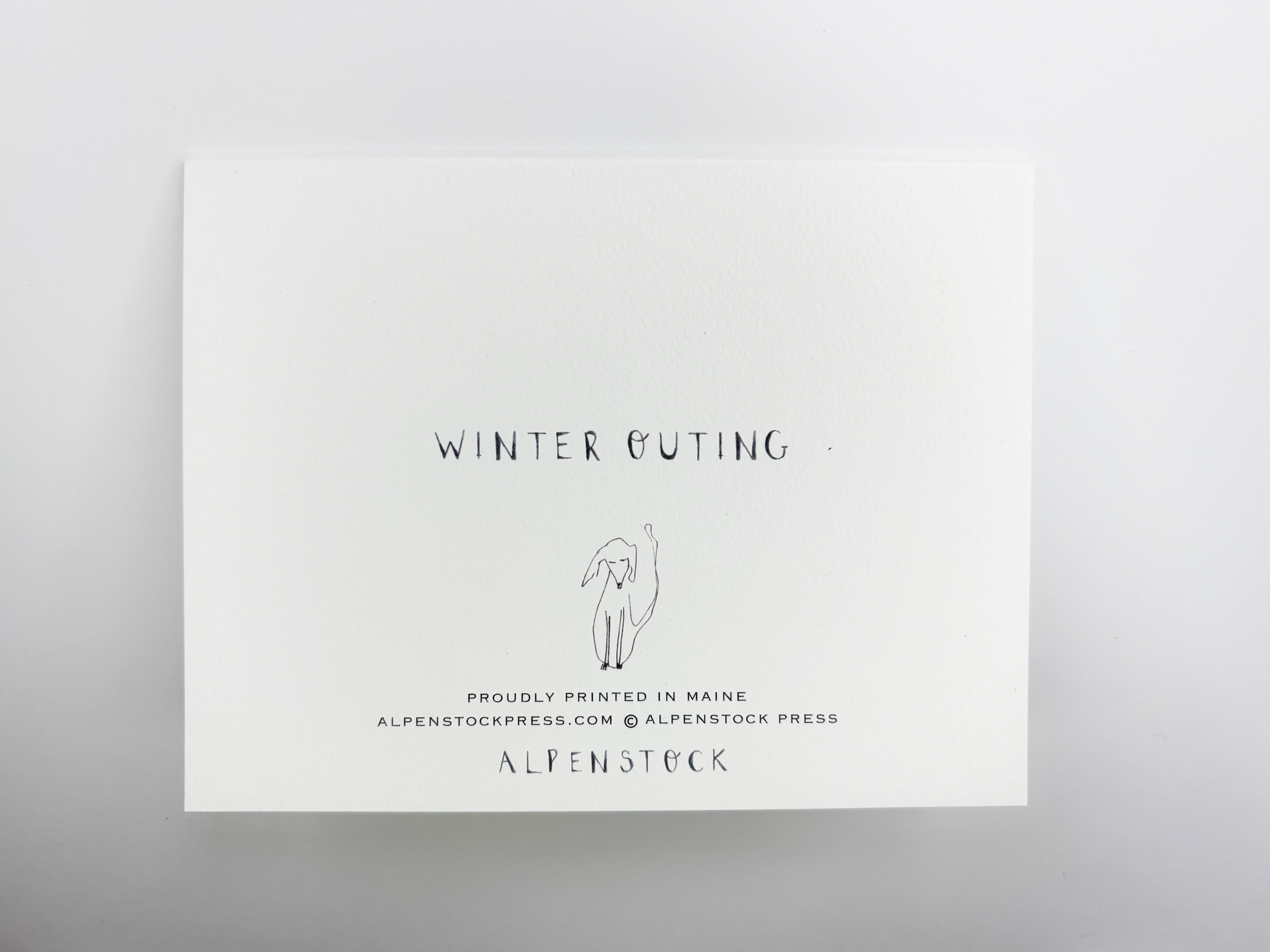 Winter Outing2.png