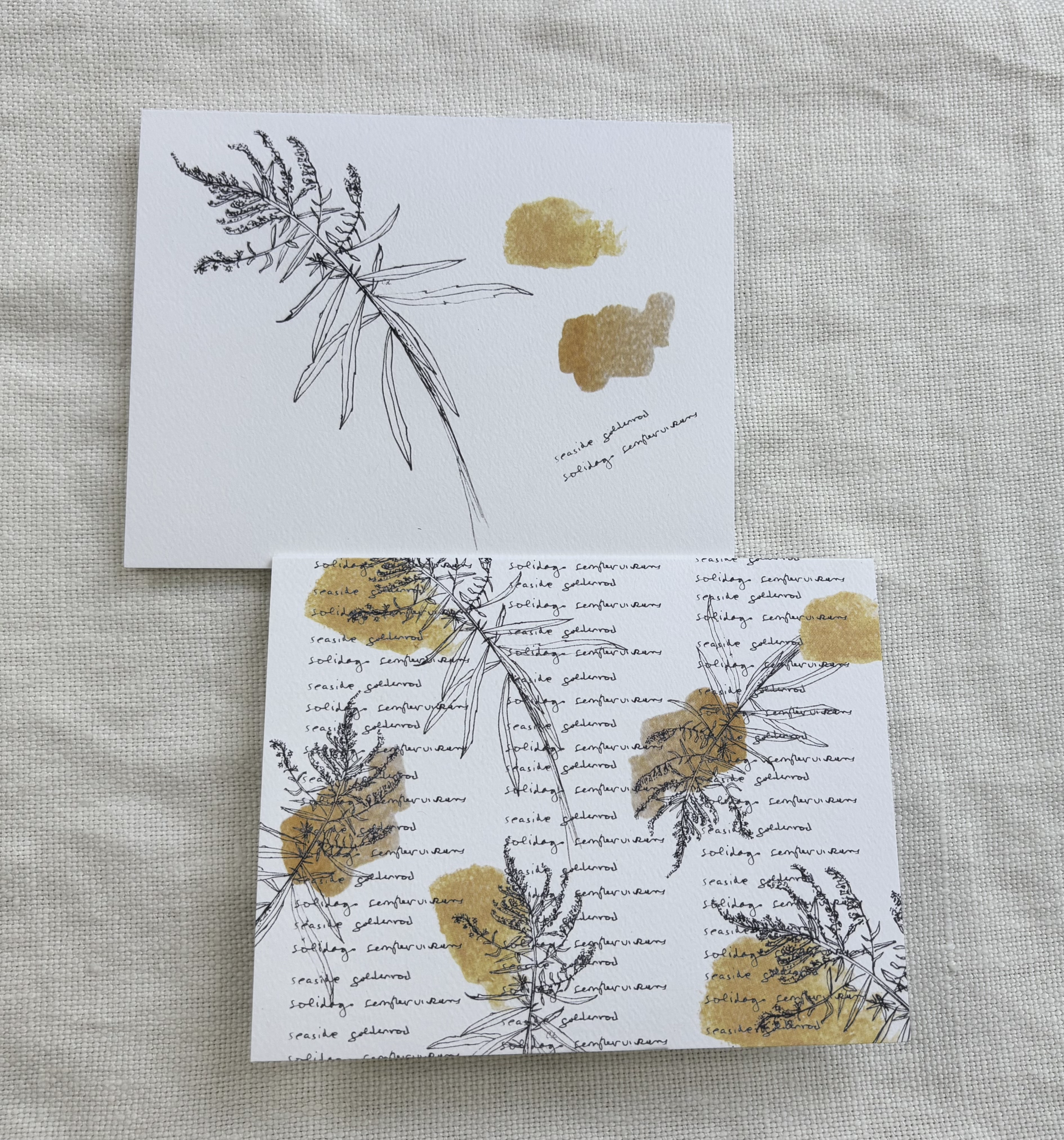 Field Notes C Pair