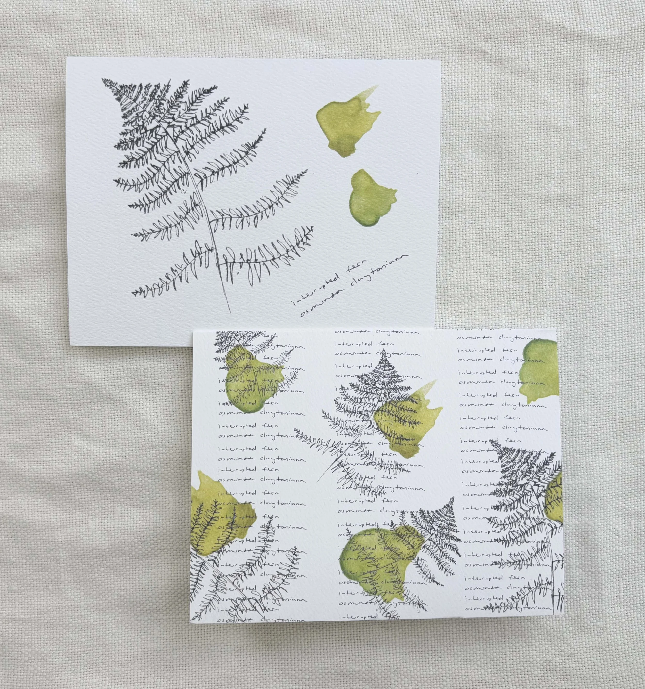 Field Notes A Pair